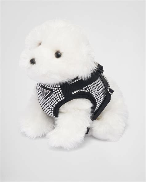 Prada dog accessories